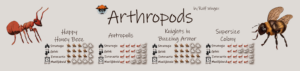 Arthropods Ants & Bees game info about all 4 games inside the box