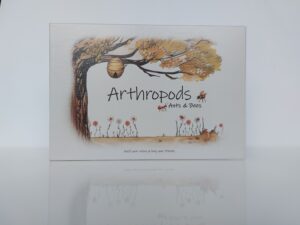 Arthropods Ants & Bees game box front side in front view perspective